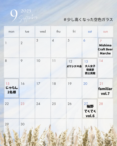 カラフル　シンプル　イラスト　2025年カレンダー　月曜始まり　Instagram投稿　縦長.zip - 9.png