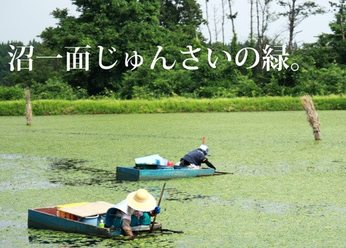 じゅん菜沼.jpg