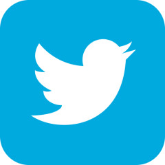 iconfinder-social-media-applications-6twitter-4102580_113802.png