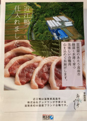 近江鴨