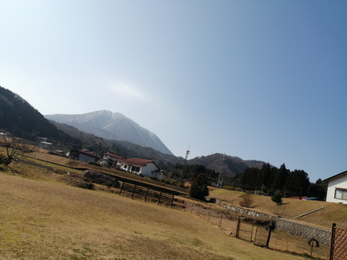 IMG_20230303_100931.jpg