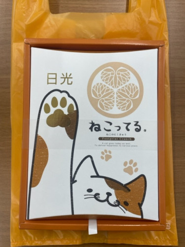 猫好きの塾長にピッタリ、ありがとう！