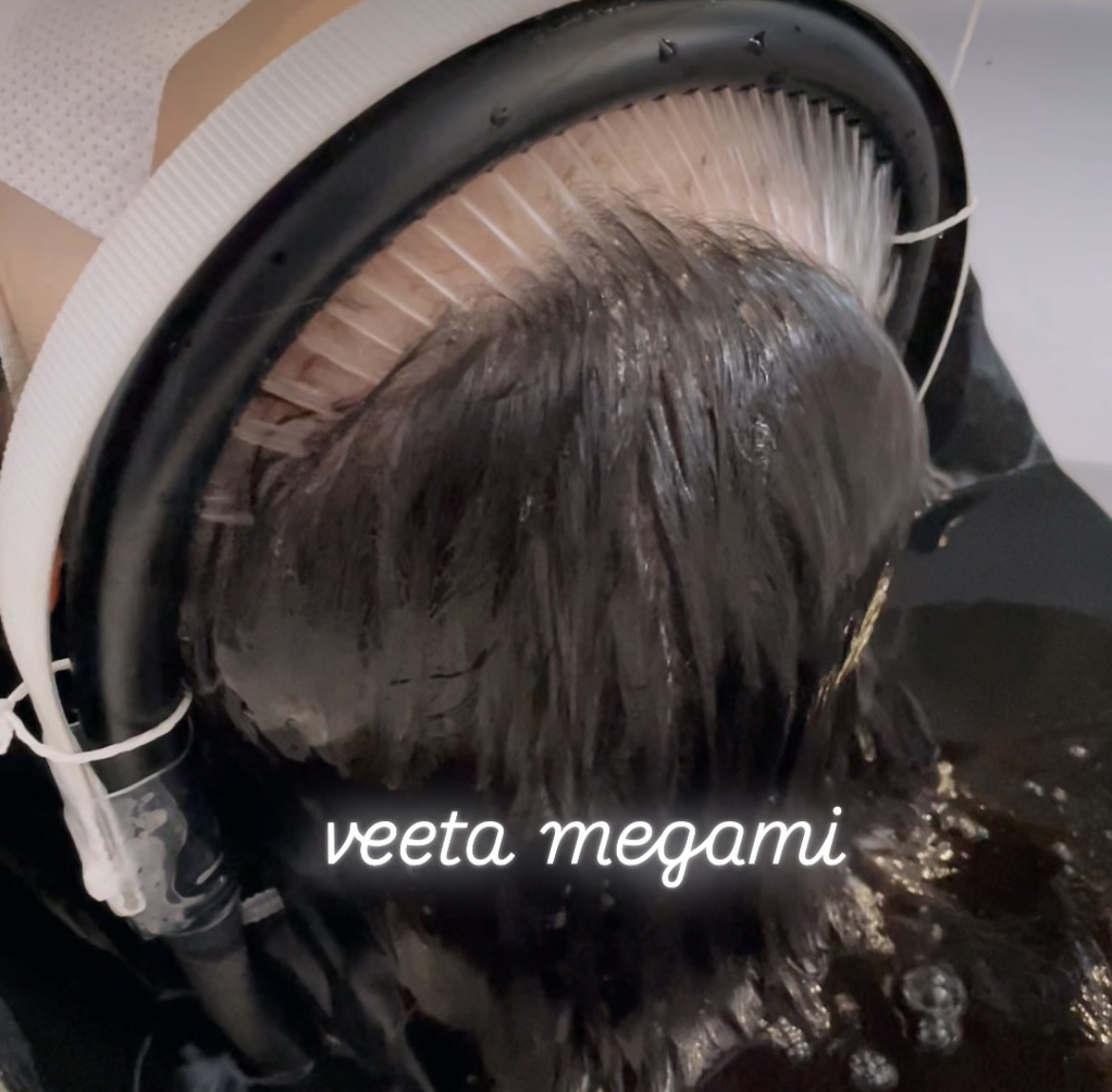 VEETA式循環システム