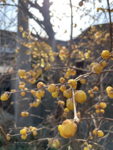 ちょっとした時間ができましたので更新