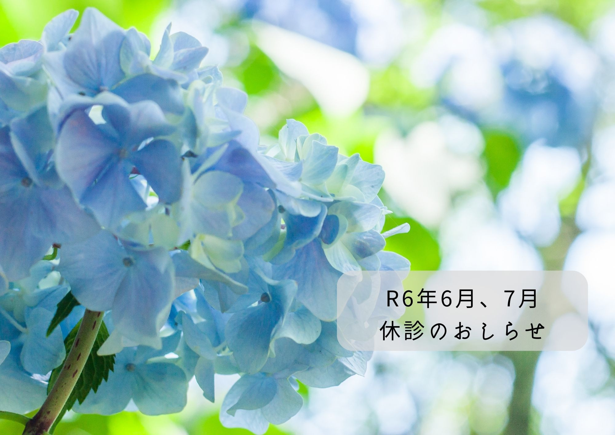 令和6年6月、7月　休診のおしらせ