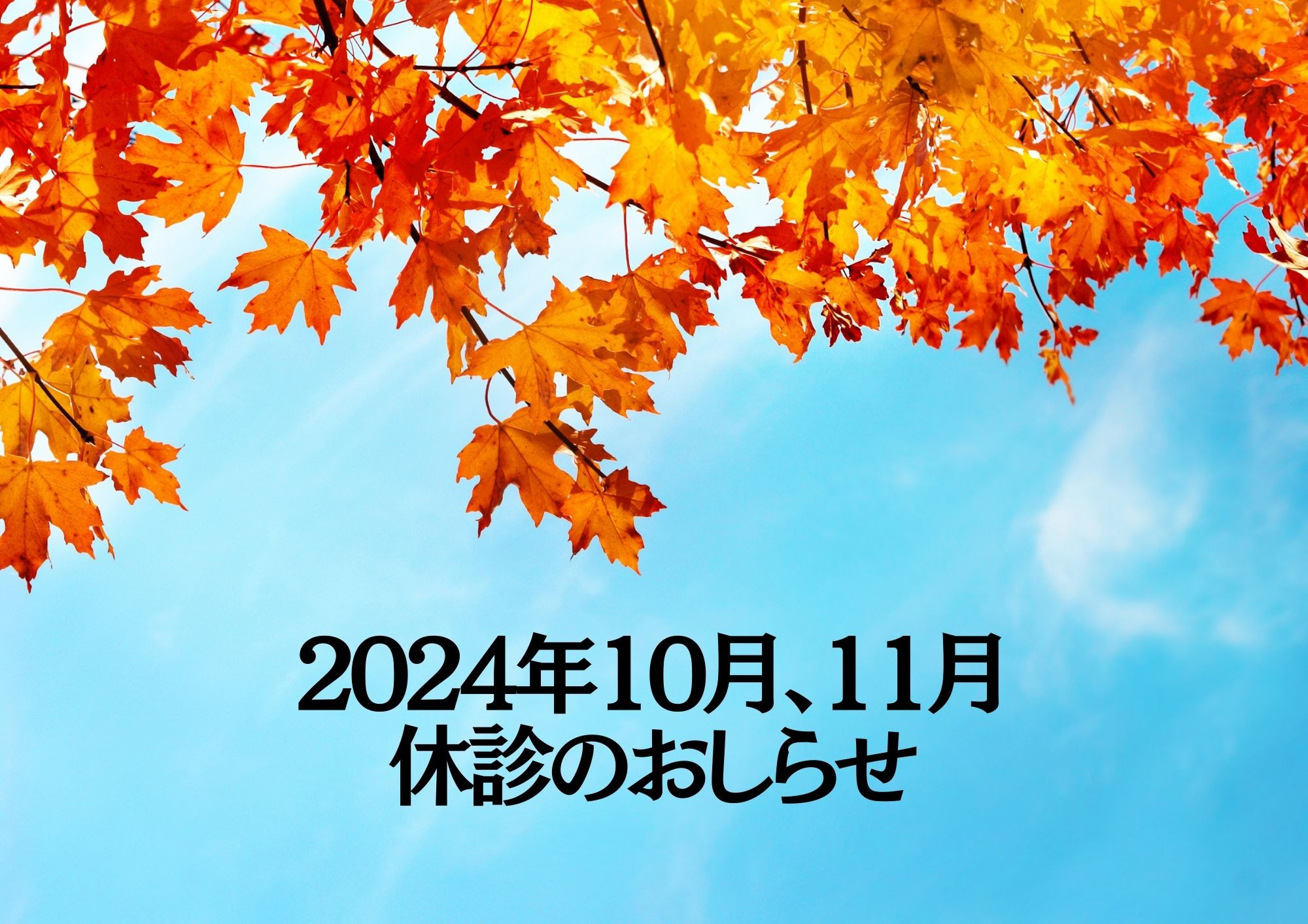 令和６年１０月、１１月　休診日のおしらせ