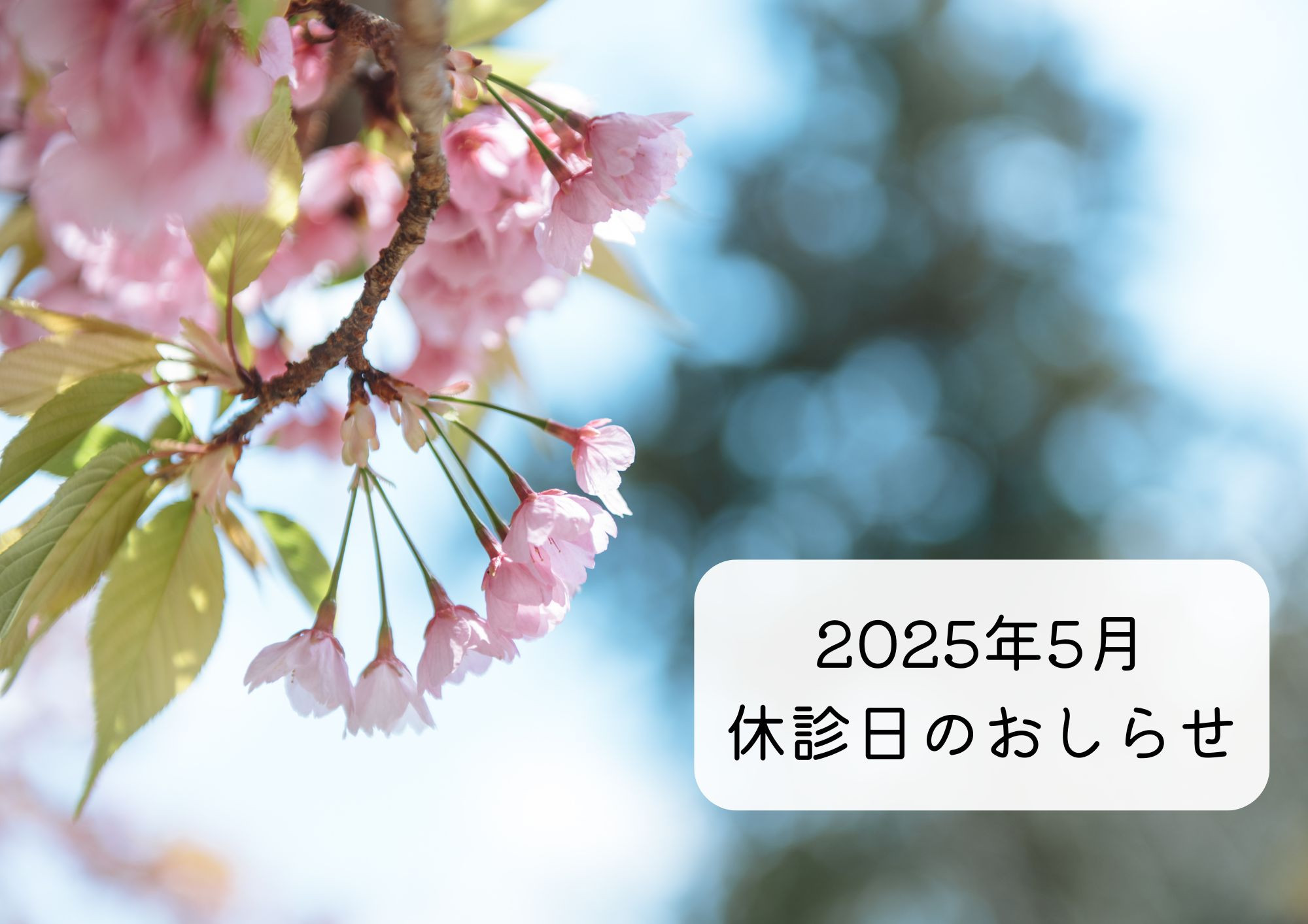 2025年5月　休診のおしらせ　・　GW中のお願い