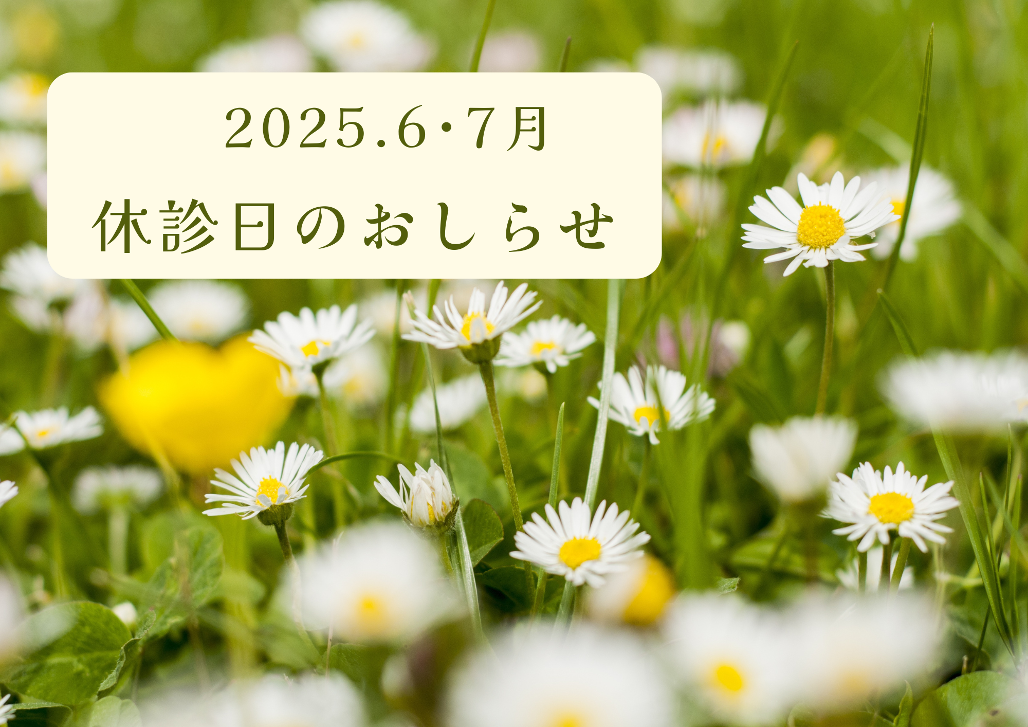 2025年6月・7月　休診日のおしらせ　