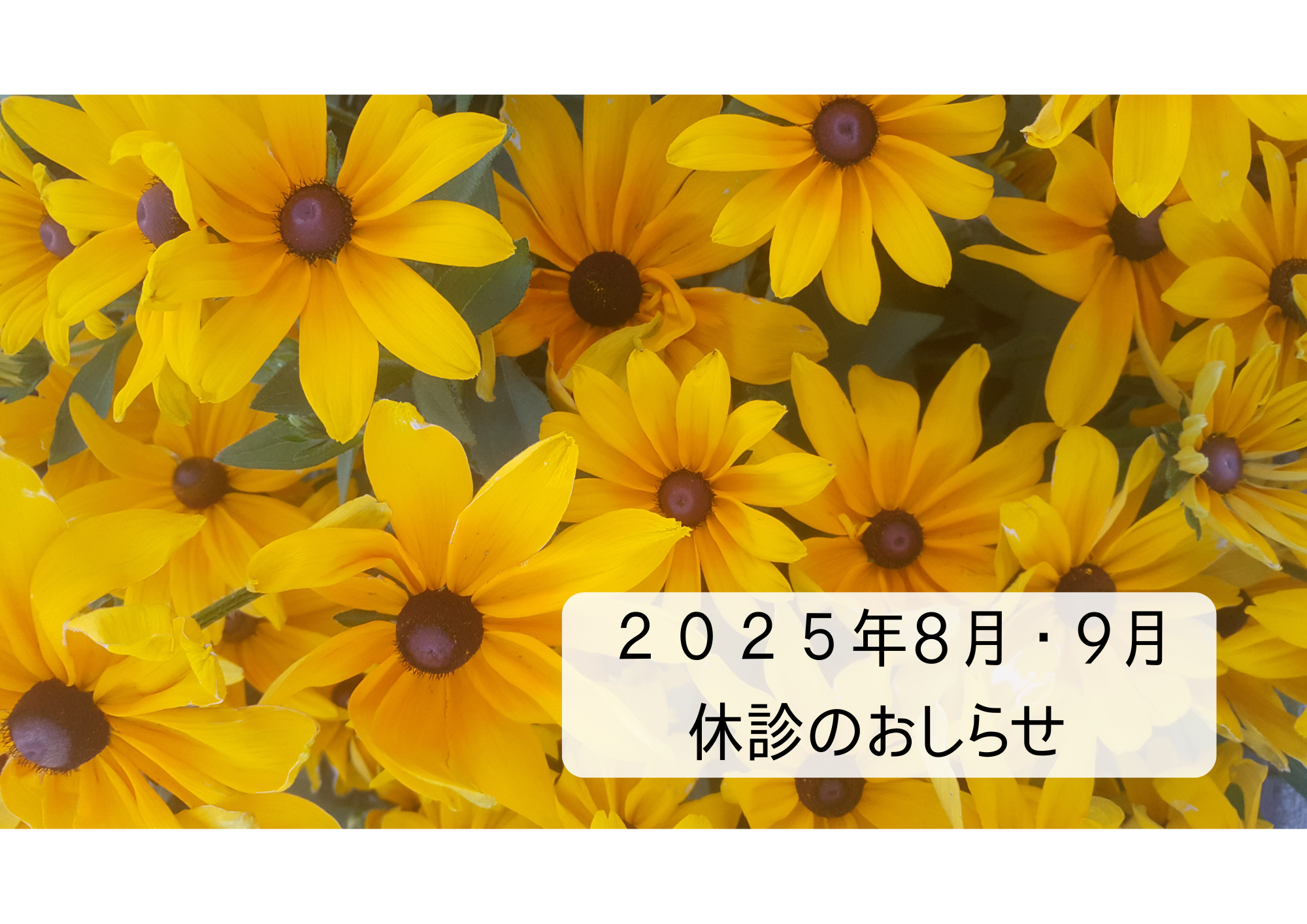2025年 8月・9月　休診のおしらせ