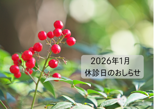 2026年1月　休診日のおしらせ