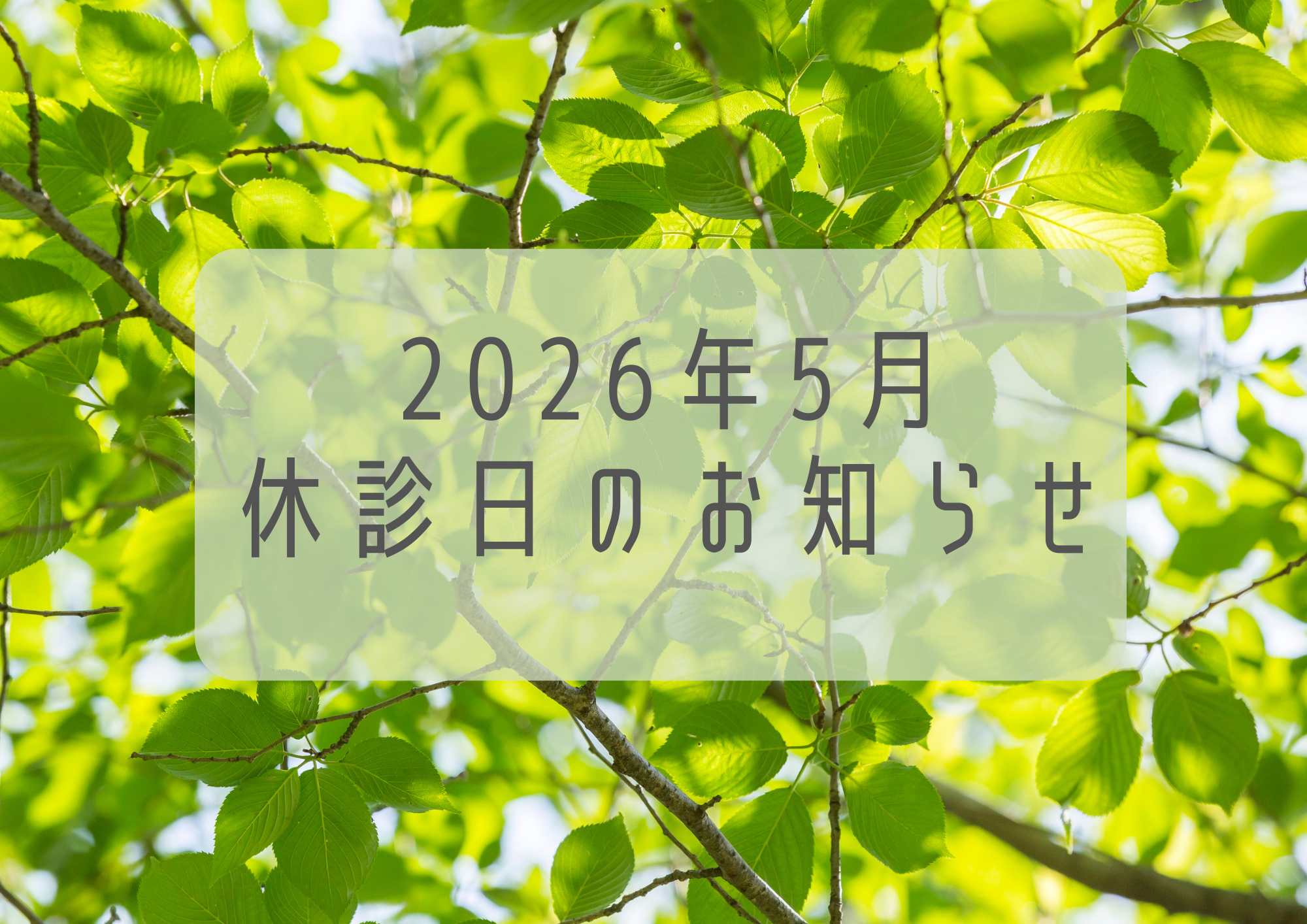 2026年５月　休診日のお知らせ