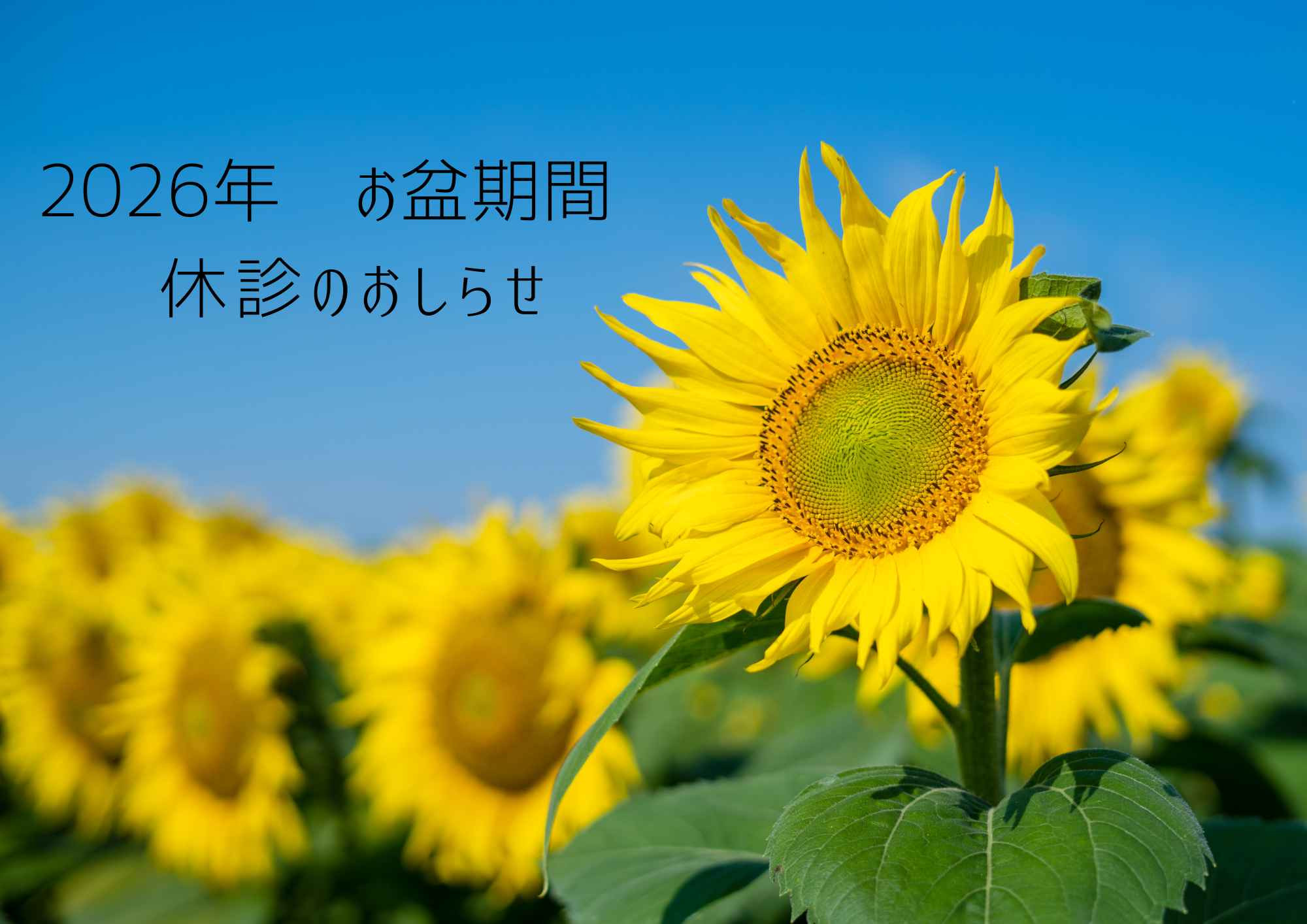 2026年8月　お盆期間休診のおしらせ