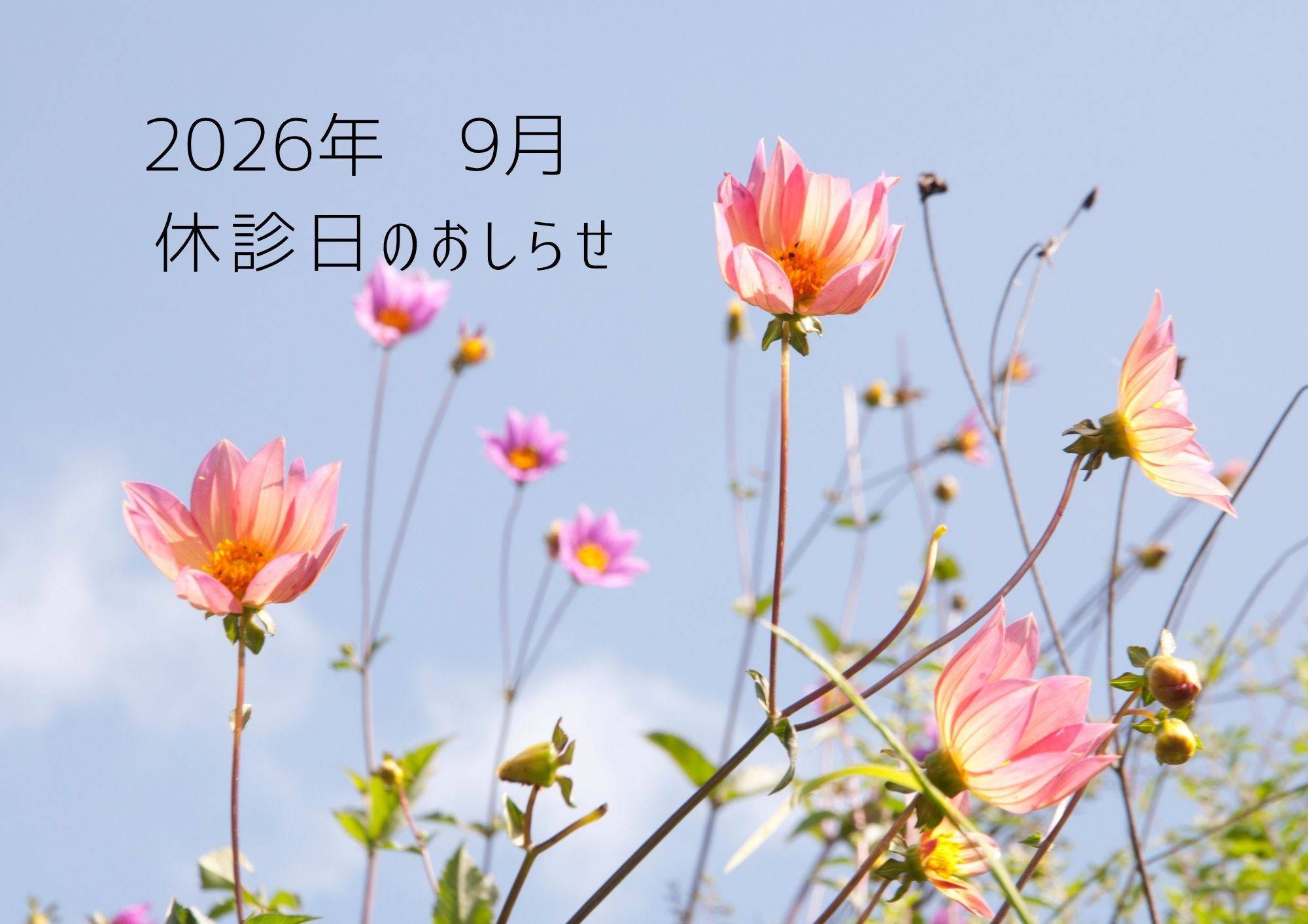 2026年9月　休診日のおしらせ