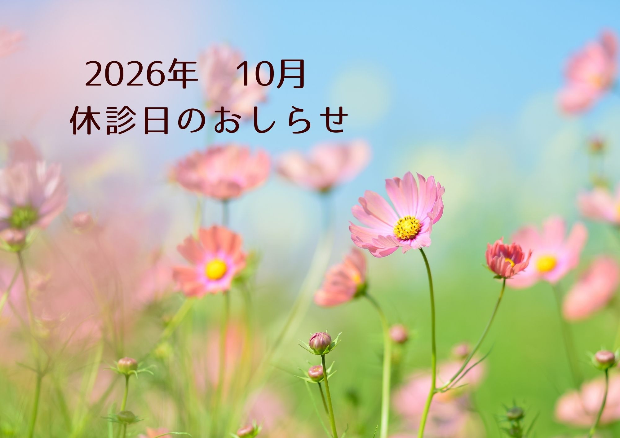 2026年10月　休診日のおしらせ