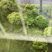 303ED595-A9B3-46BB-A686-D0ABA06B947B.jpeg