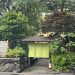 IMG_6364.jpeg
