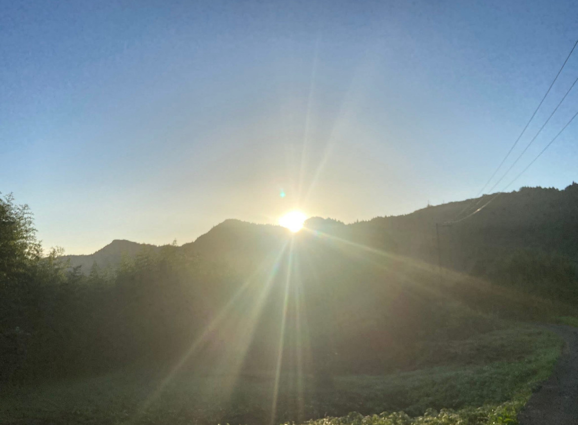 季節のセルフケア　ツボ押しと火を使わないお灸