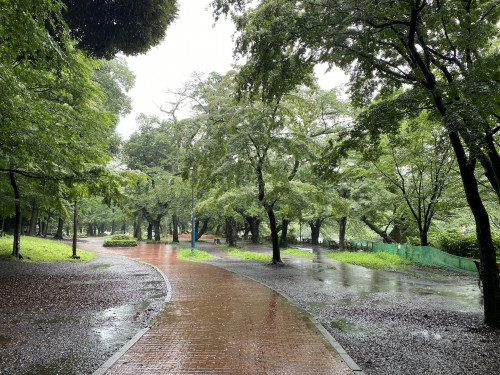 210702雨の井の頭公園.jpg