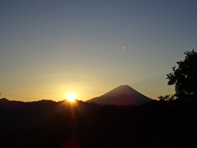 平林からの富士山