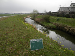 R0011938.JPG