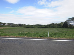 R0022616.JPG
