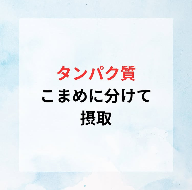 タンパク質の摂取💪