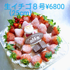 クリスマスデコレーションケーキ生クリームいちご８号