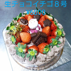クリスマスデコレーションケーキ生チョコいちご８号