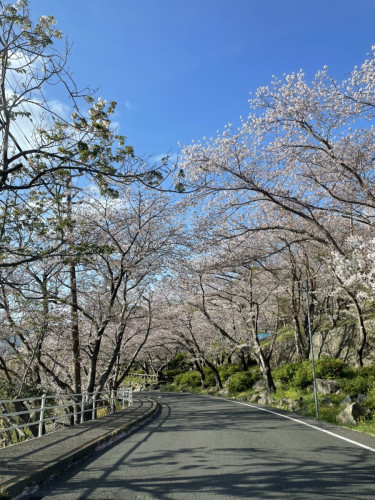 新年度もよろしくお願いします。