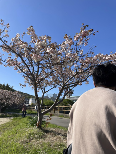 移動支援の新規依頼をいただきました。