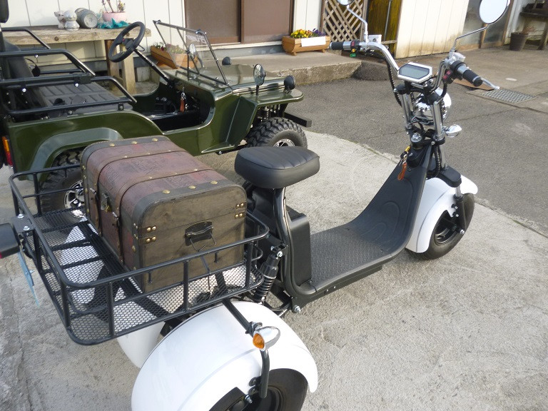 BLAZE　EVミニカー