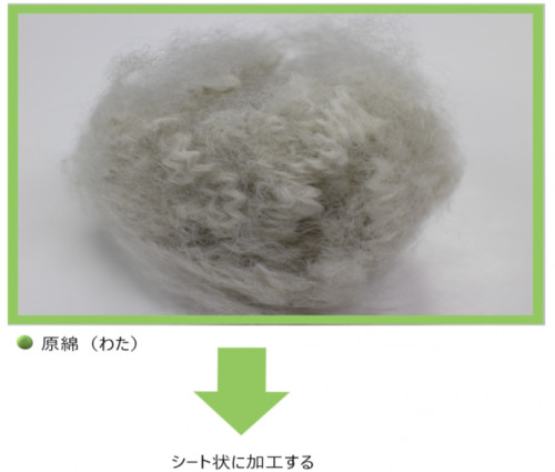 原綿枠あり.png