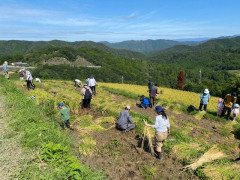 中田の棚田で農作業援農0925_04.jpg