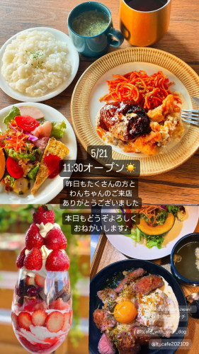 5/21 11:30オープン