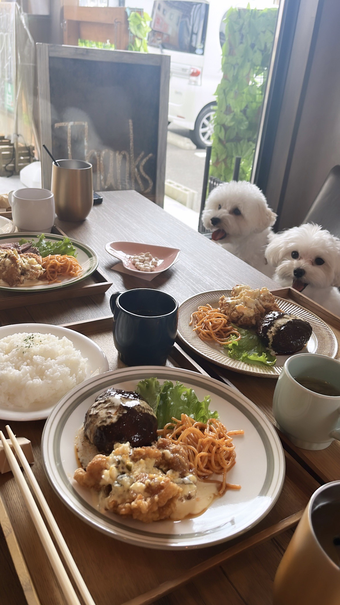 わんちゃんとご一緒にどうぞ(店内OKカフェ)