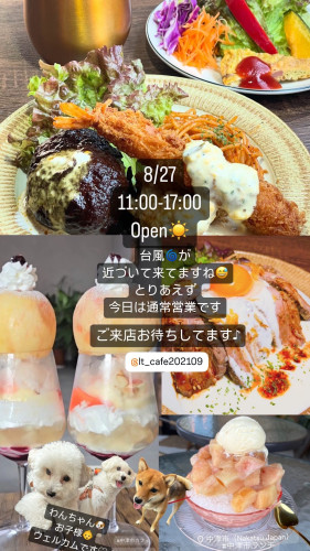 8/27 11:00-17:00オープン☀️