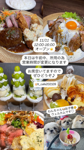 11/11 12:00-16:00オープン