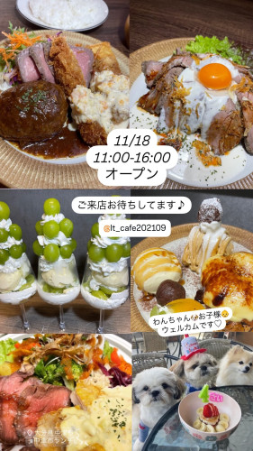 11/18 11:00-16:00オープン！