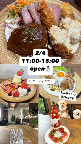 2/4 11:00-15:00open