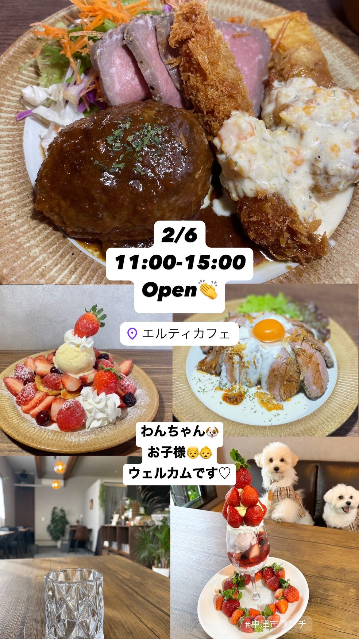 2/6 11:00-15:00 openです