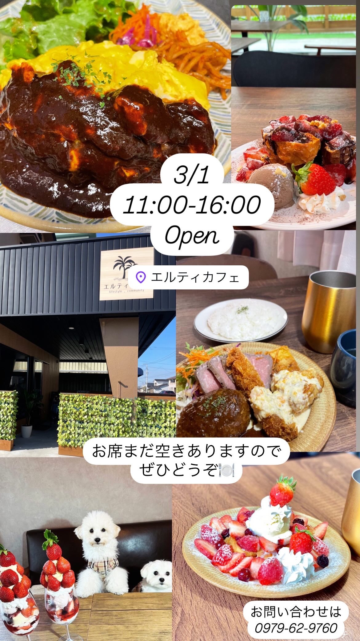 3/1 11:00-16:00オープン