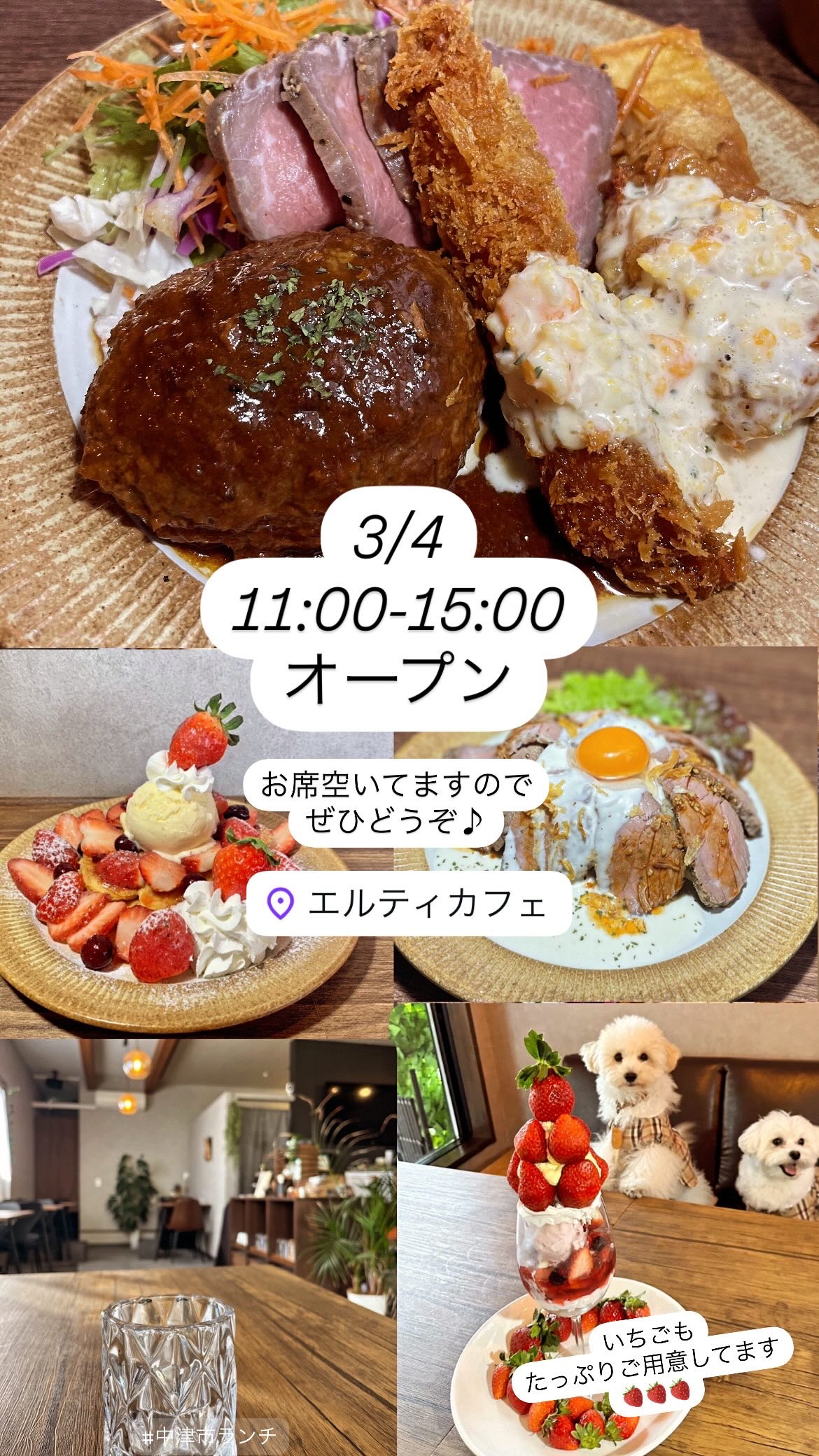 3/4 11:00オープン！