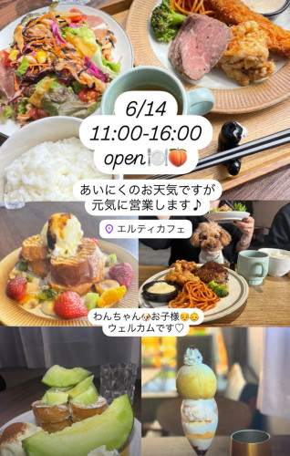 6/14  11時オープン！
