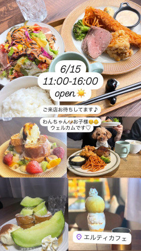 6/15  11:00-16:00open！