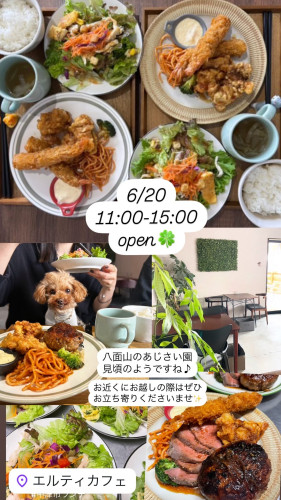 6/20 11時open！