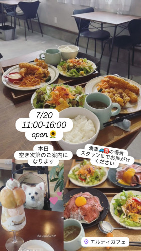 7/20  11:00-16:00open