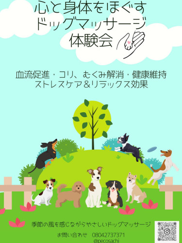 10/17  12ー14時ドッグマッサージ体験会開催！