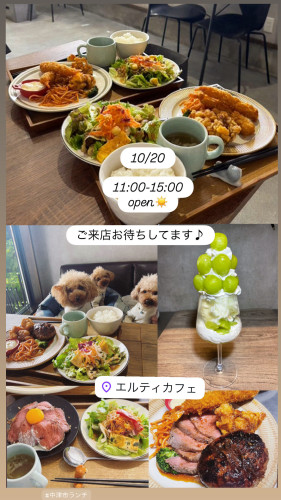 10/20-26の営業と空き状況