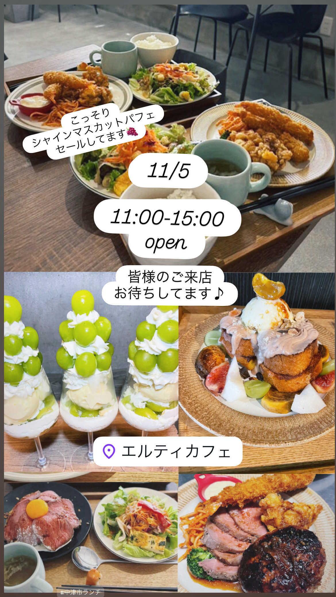 11/5-11/9 営業予定🗓️