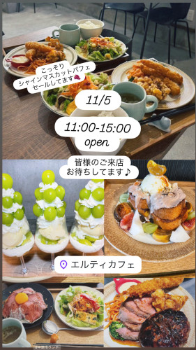 11/5-11/9 営業予定🗓️